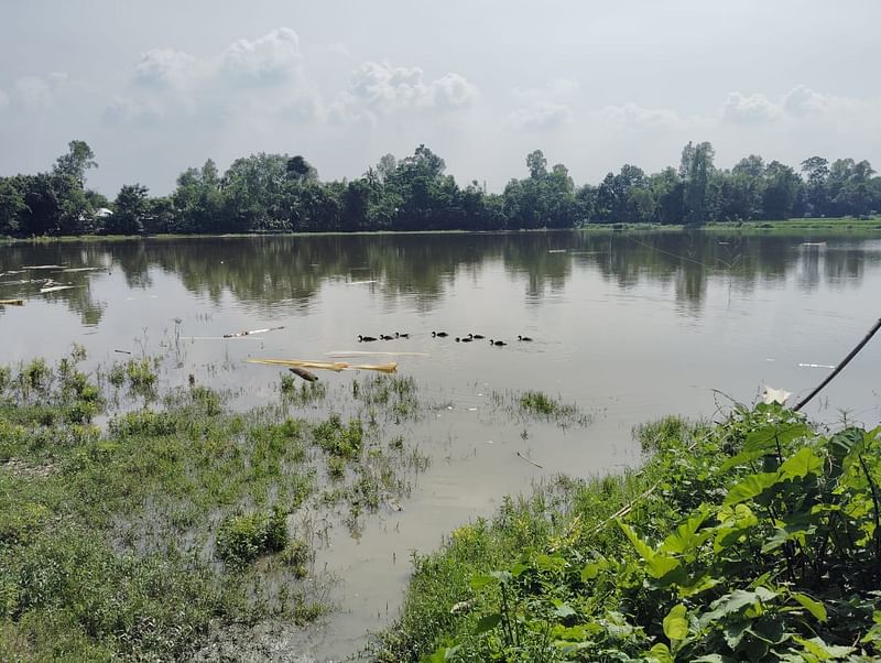 ধুনট উপজেলার চৌকিবাড়ি ও মথুরাপুর ইউনিয়নের মাঝামাঝি রুদ্রবাড়িয়া ও পীরহাটি এলাকার এই জলাশয় ‘অন্ধ পুকুর’ নামে পরিচিত। গতকাল রোববার তোলা